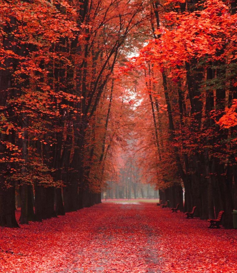 Take a journey to release sexual shame